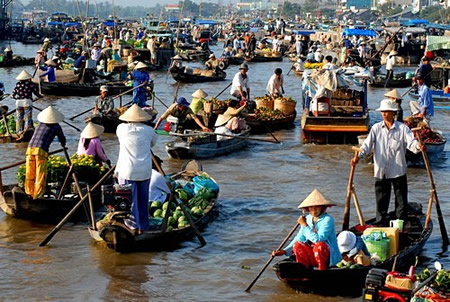 Vinh - TP.HCM – Côn Đảo - Cần Thơ - Cà Mai - Tiền Giang - Tây Ninh - HCM - Vinh
