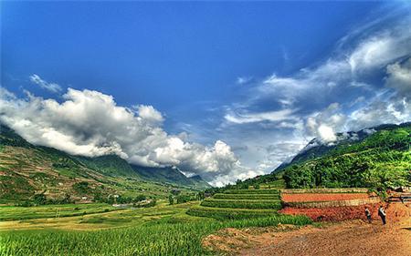 Phong cảnh Sapa ngày hè