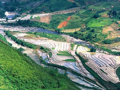 Ruộng bậc thang