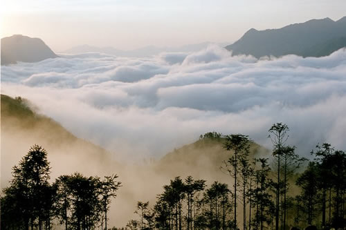 Sapa - Thị trấn trong sương