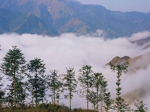 Vinh - Hà Nội - Lào Cai - Sapa